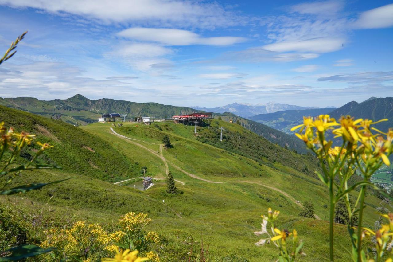 Die Kalsbergerin Ferienwohnung Fuer Geniesser Donnersbachwald Buitenkant foto