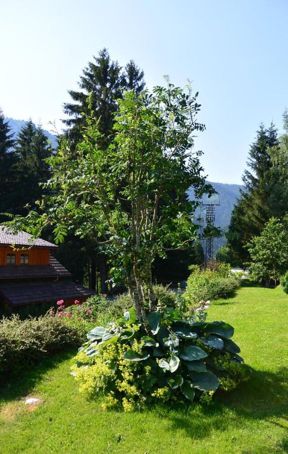 Die Kalsbergerin Ferienwohnung Fuer Geniesser Donnersbachwald Buitenkant foto